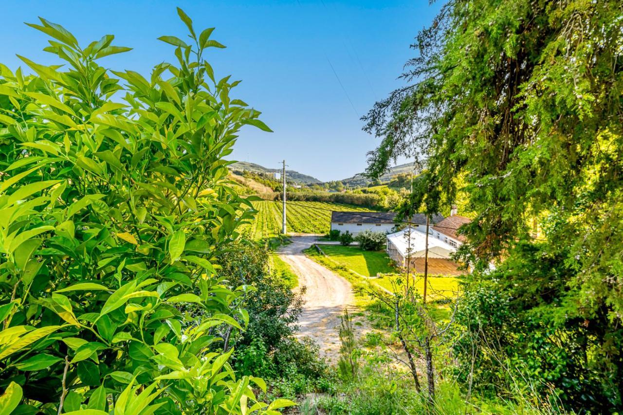 Quinta Do Boicao Villa Lisboa Eksteriør billede