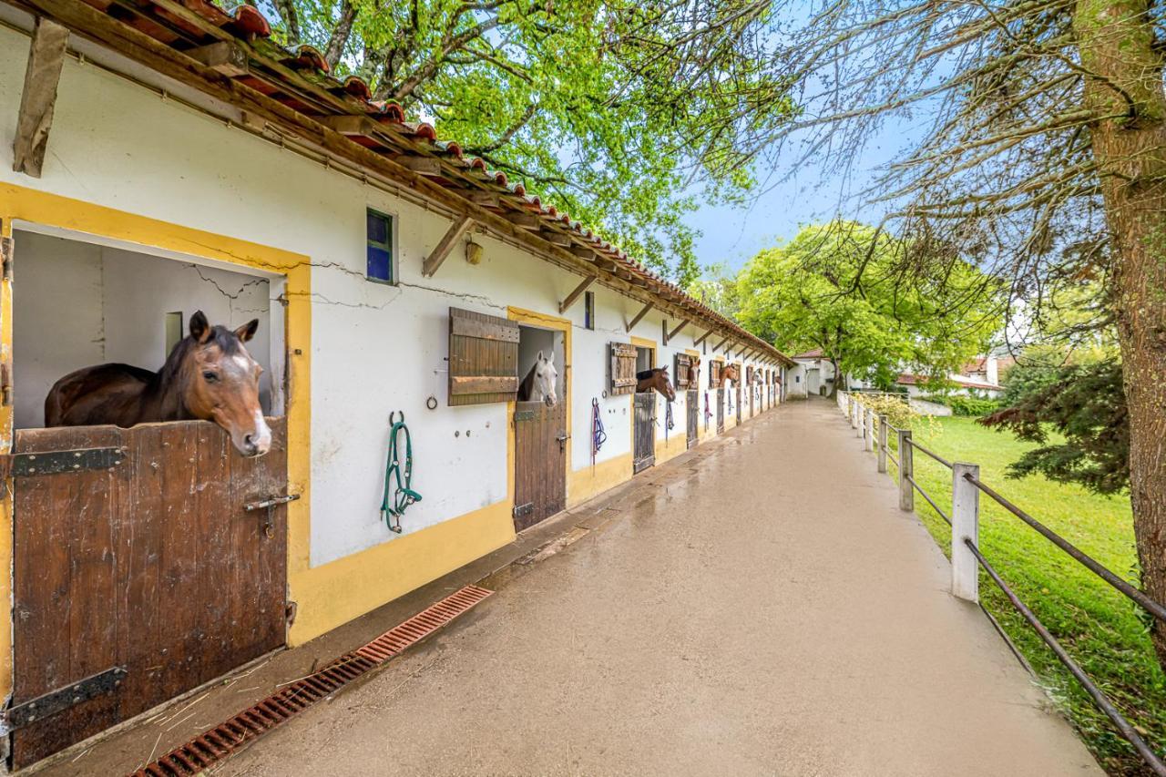 Quinta Do Boicao Villa Lisboa Eksteriør billede