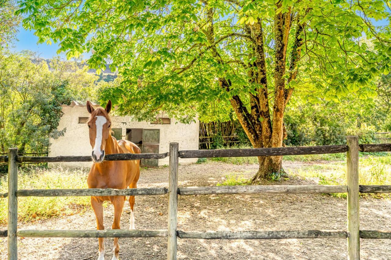 Quinta Do Boicao Villa Lisboa Eksteriør billede