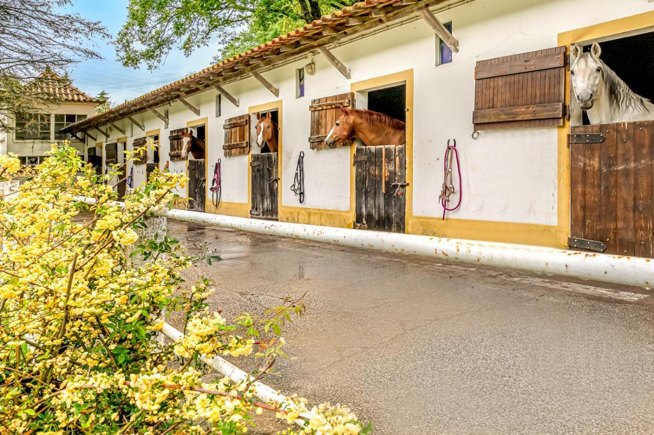 Quinta Do Boicao Villa Lisboa Eksteriør billede
